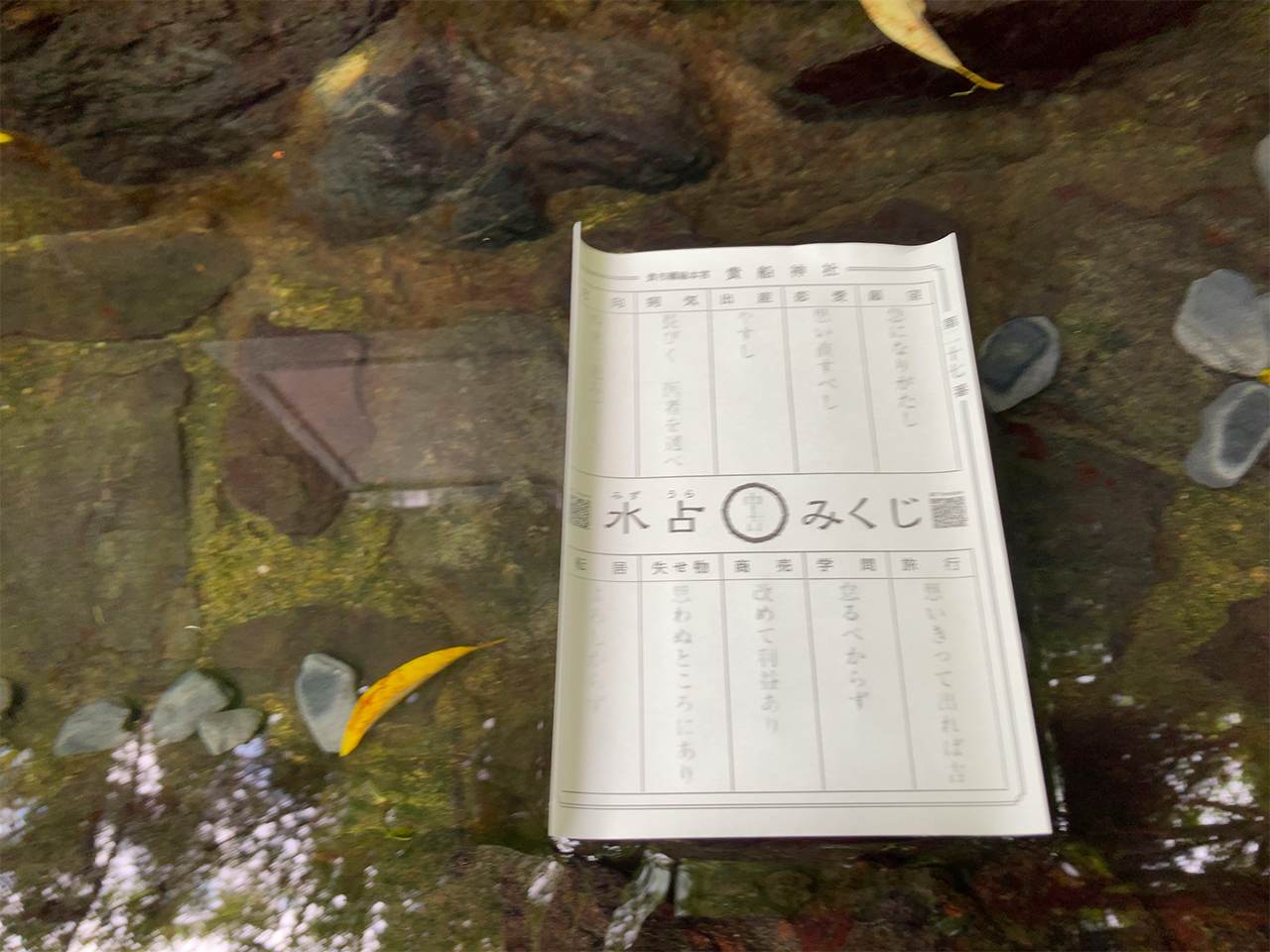 水占みくじを水に浮かべる