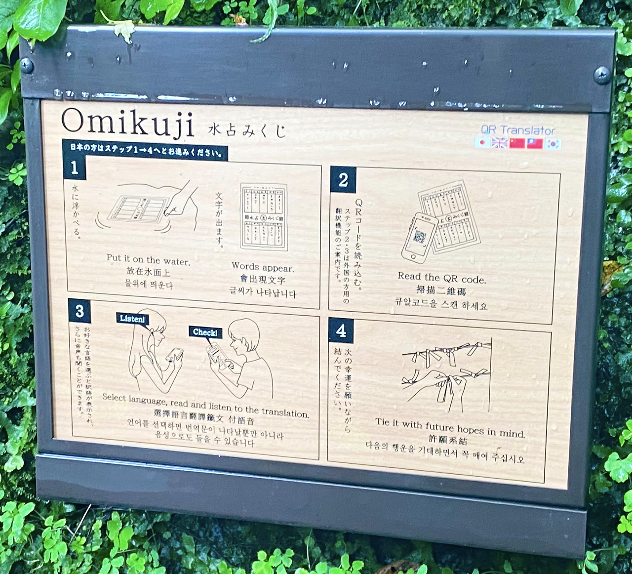 水占みくじ翻訳解説