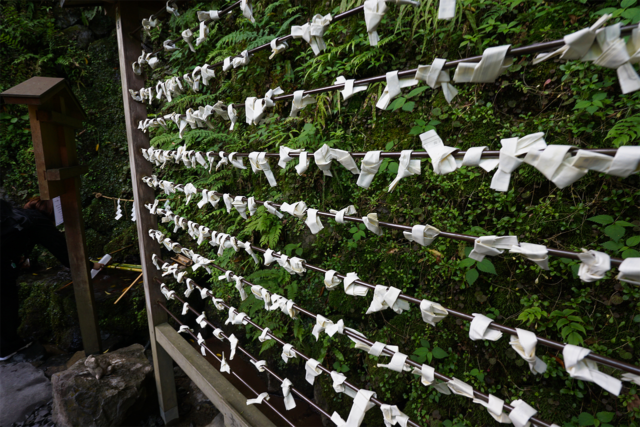 おみくじ結び所