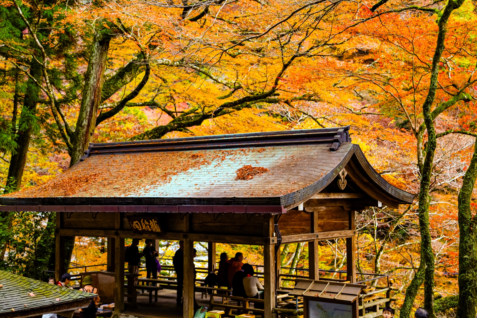 龍船閣と紅葉