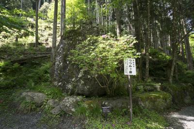 貴船神社 つつみヶ岩
