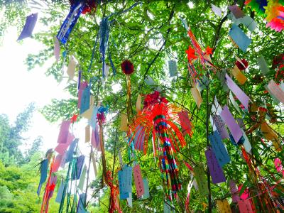 貴船神社 貴船水まつり・七夕