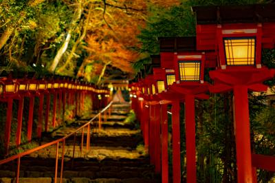 貴船神社 貴船もみじ灯篭