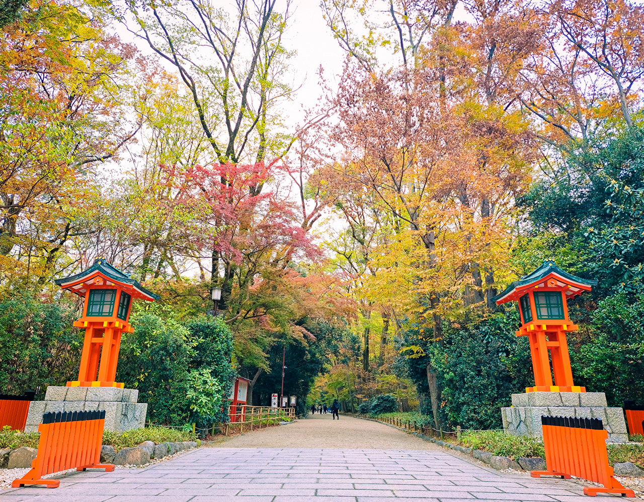 糺の森 紅葉