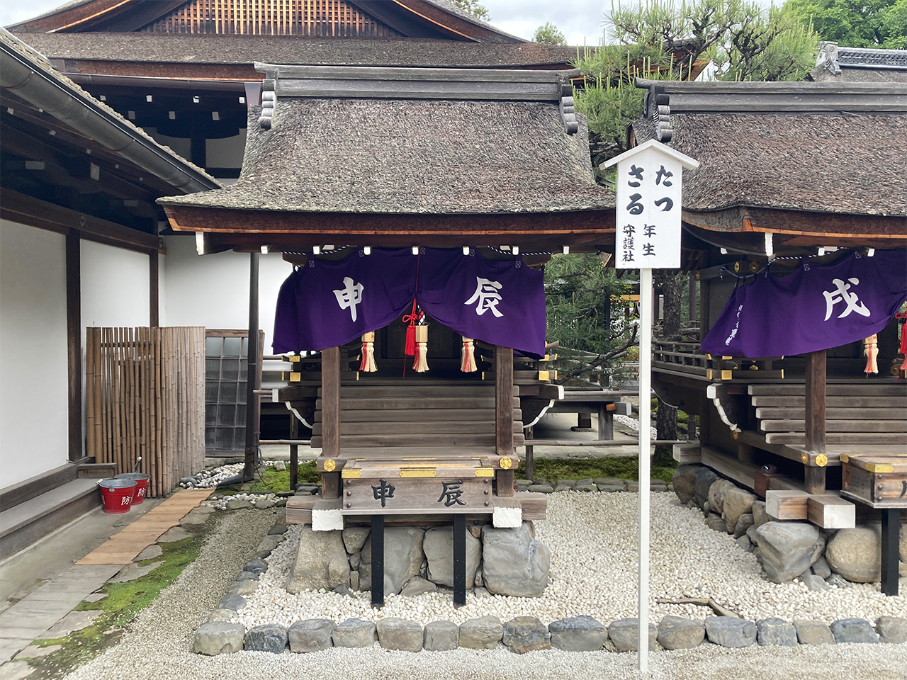 三言社 辰（たつ）・申（さる）