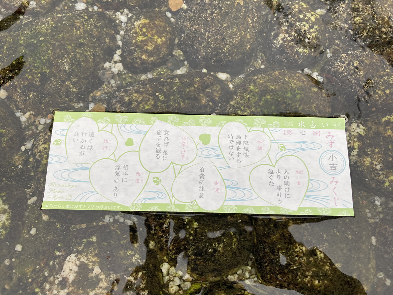 御手洗に浮かんでいる水みくじ