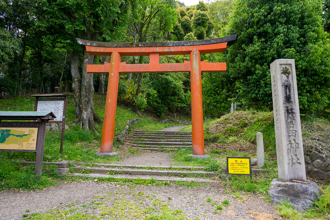 吉田神社 吉田山北参道の鳥居