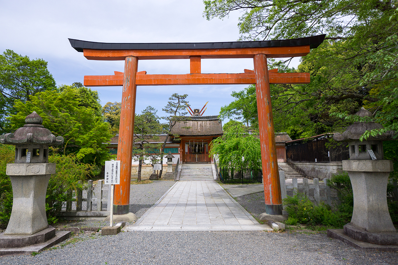吉田神社 斎場所大元宮 鳥居と御社殿