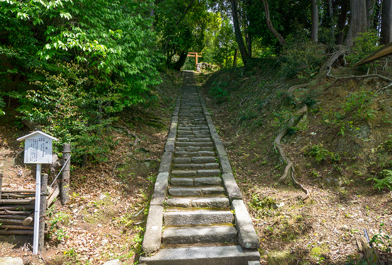 吉田神社 神龍社 石段