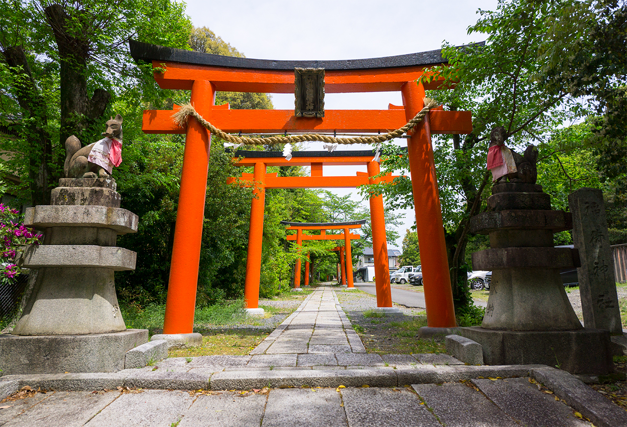吉田神社 竹中稲荷社 千本鳥居