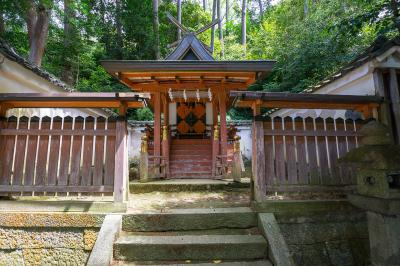吉田神社 吉田神社 若宮社 社殿
