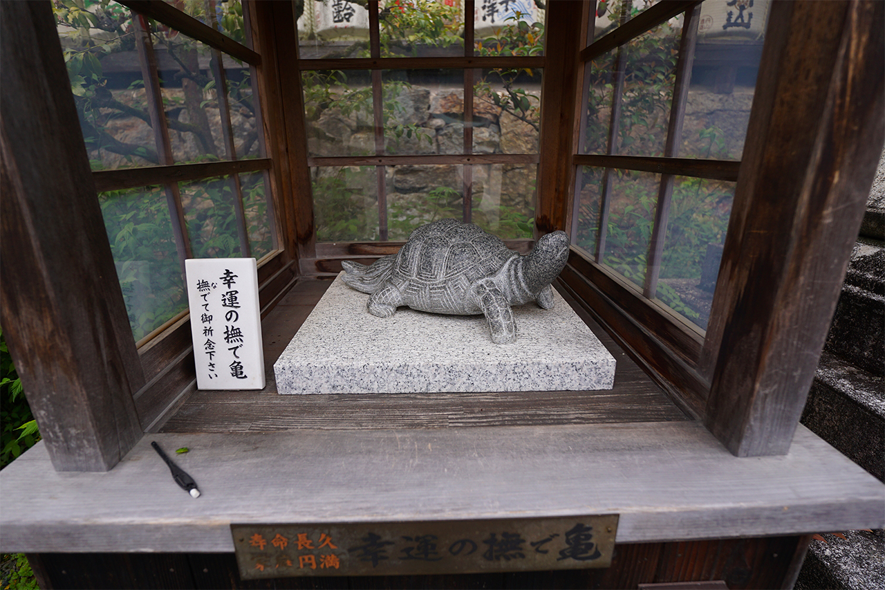 幸運の撫で亀