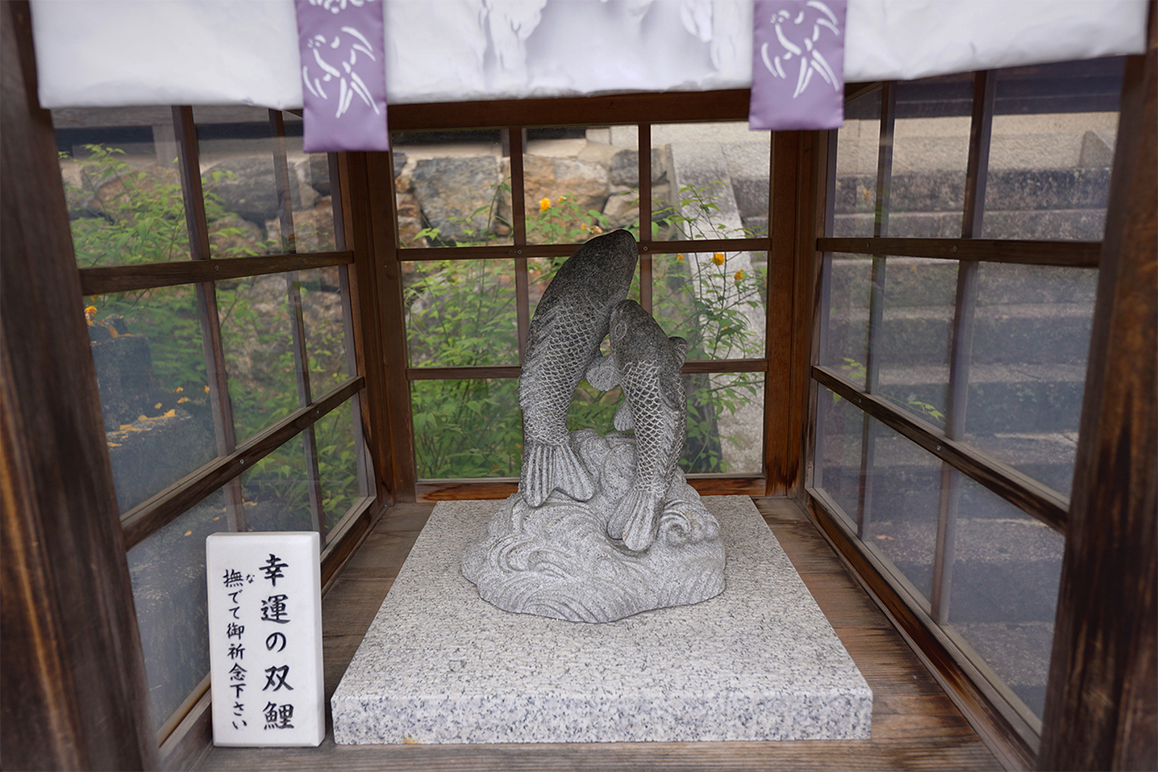 幸運の双鯉