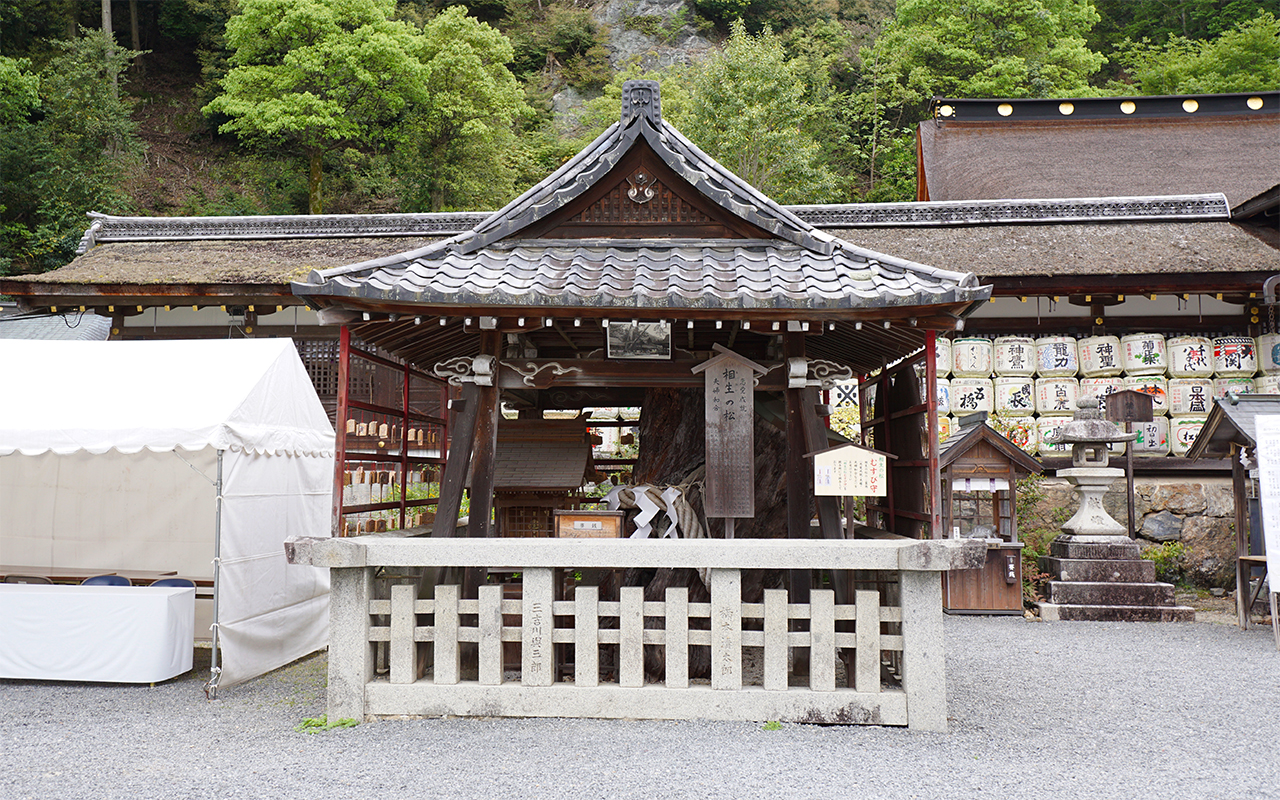 相生の松 社殿