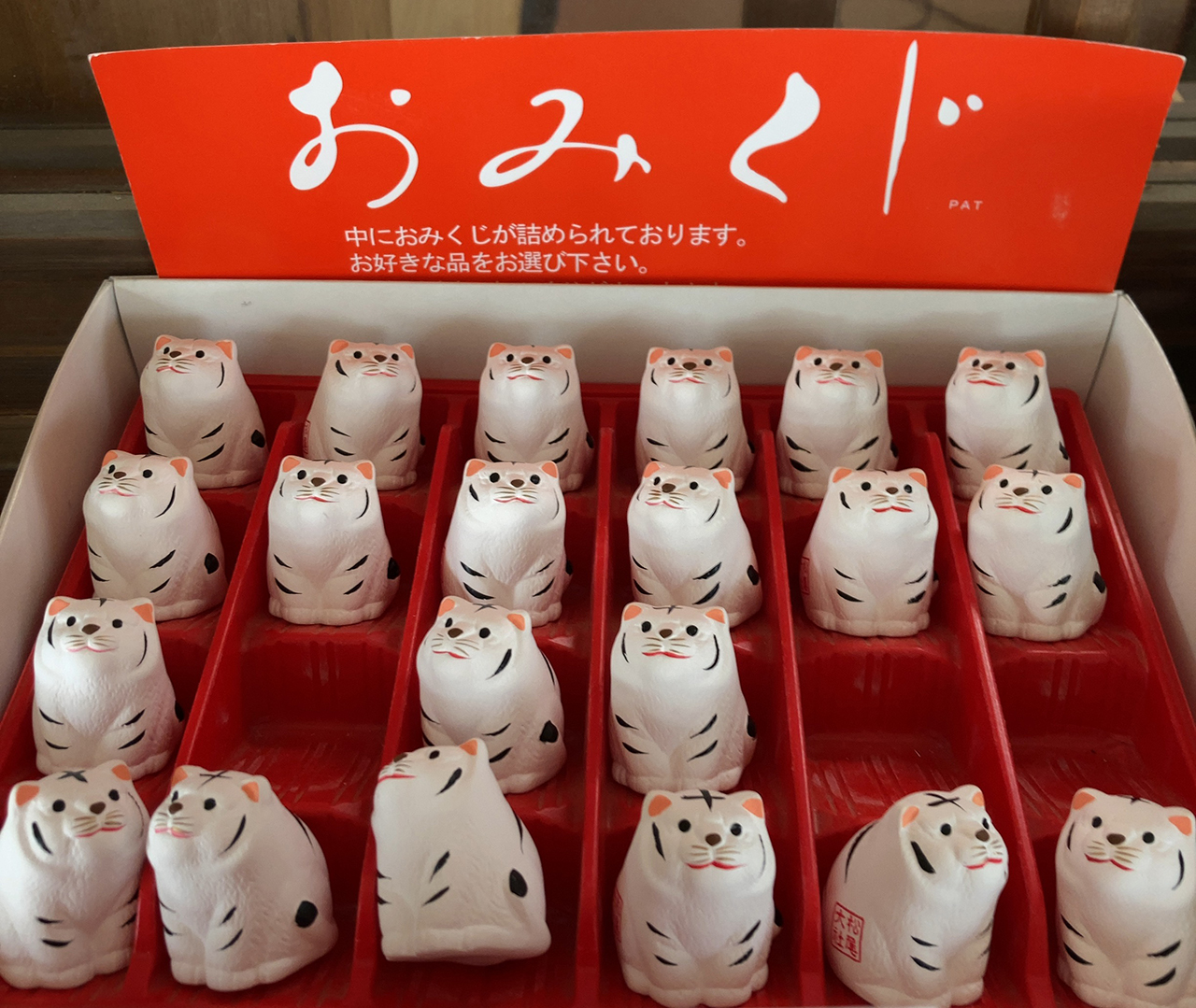 白虎おみくじ