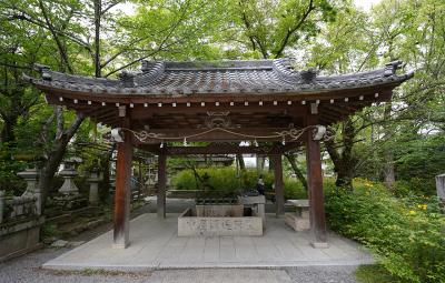 松尾大社 手水舎