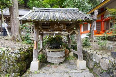 松尾大社 亀の井