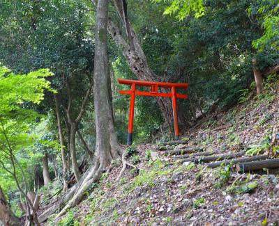 松尾大社 磐座入口