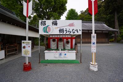 松尾大社 樽うらない