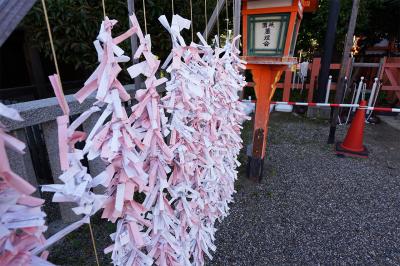 八坂神社 おみくじ