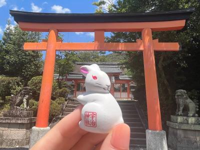 宇治神社 見返りうさぎおみくじ
