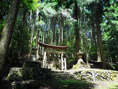 大岩神社 参道と鳥居