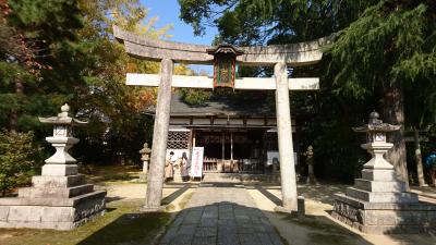 和貴宮神社 鳥居と拝殿