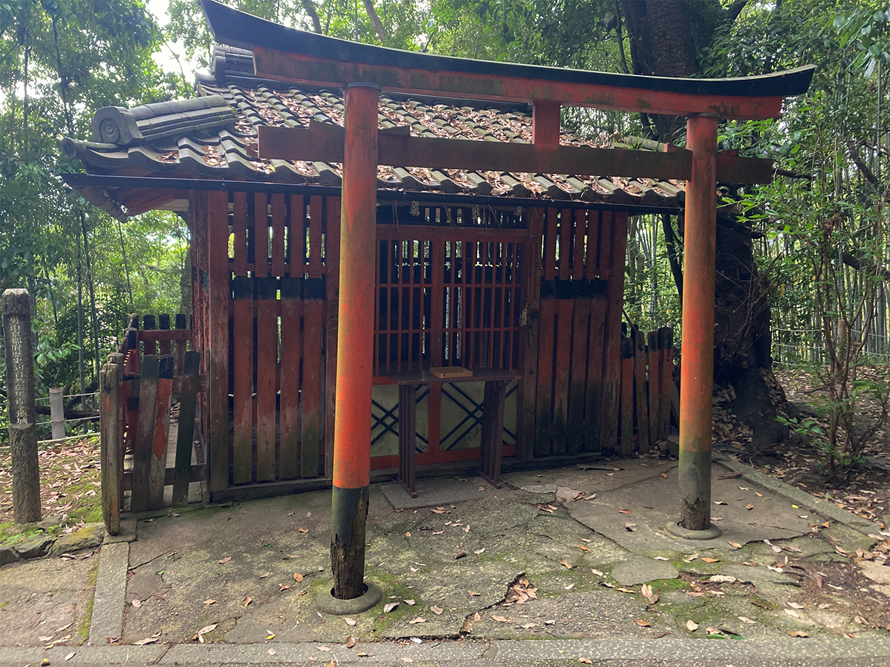 大扉稲荷社の鳥居と社殿