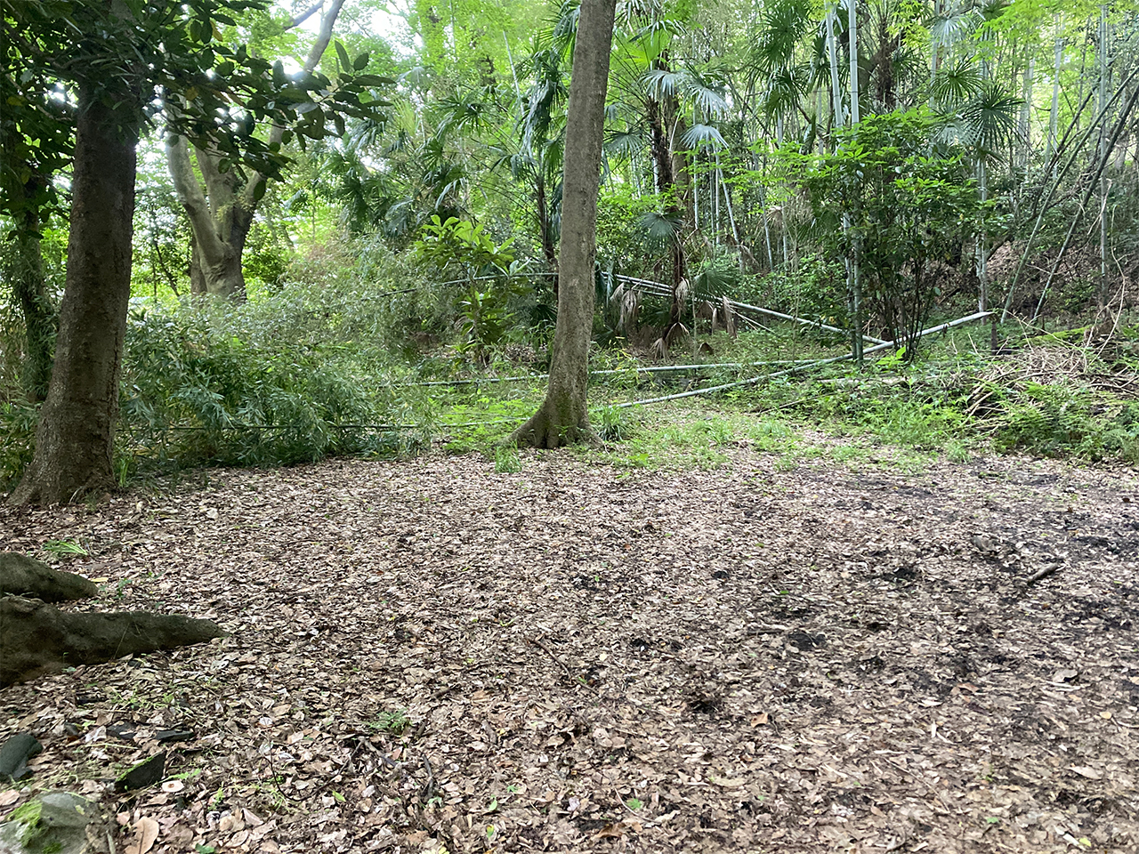泉坊・松花堂跡地