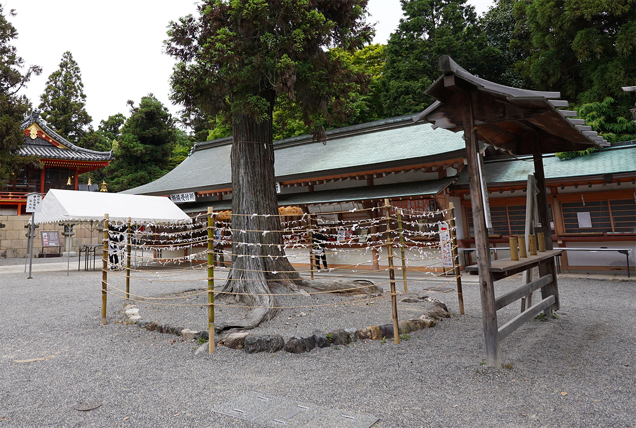 おみくじ結び所