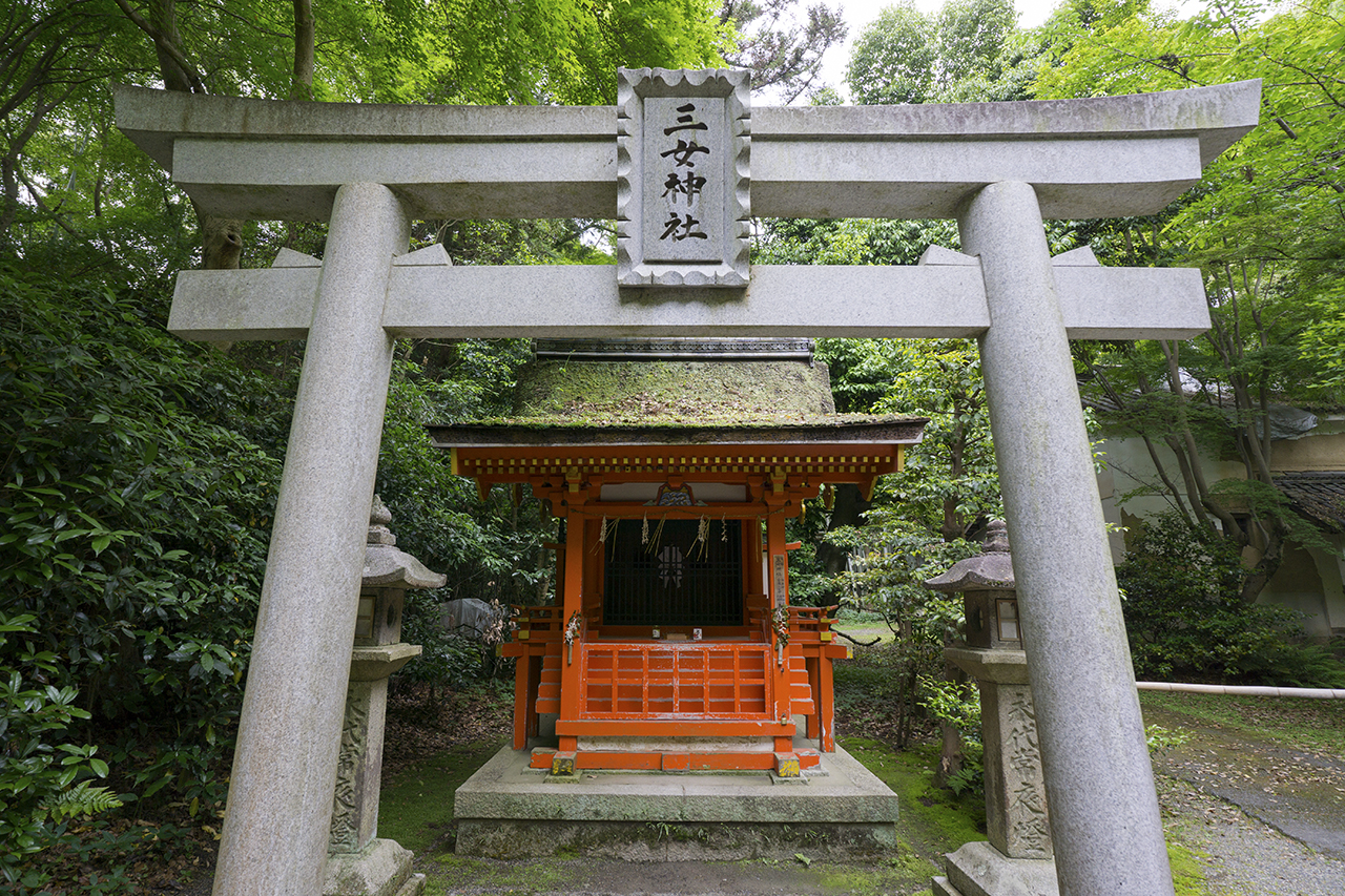 三女神社 鳥居と社殿