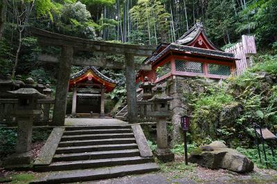 石清水八幡宮 石清水社 鳥居と井戸と社殿