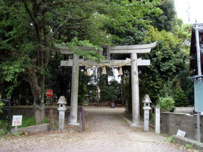雙栗神社 鳥居