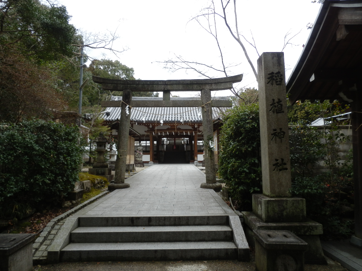 鳥居と拝殿