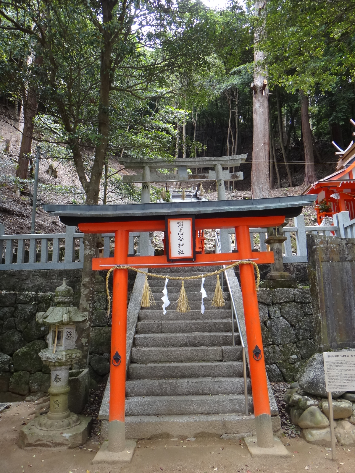 鳥居と階段