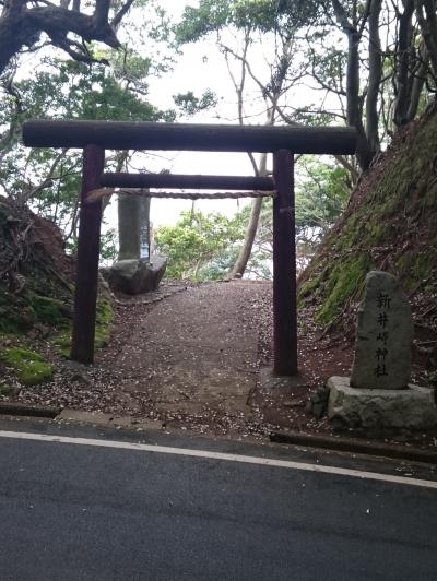 新井崎神社 鳥居