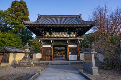 梅宮大社 遠目からの楼門(随身門)