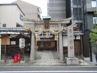 白山神社 鳥居と拝殿