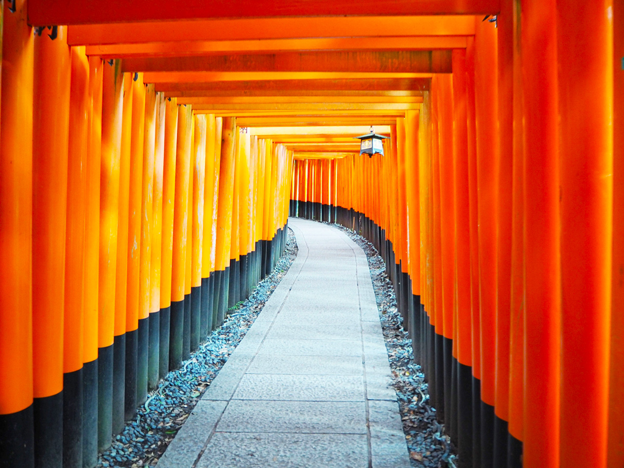 千本鳥居