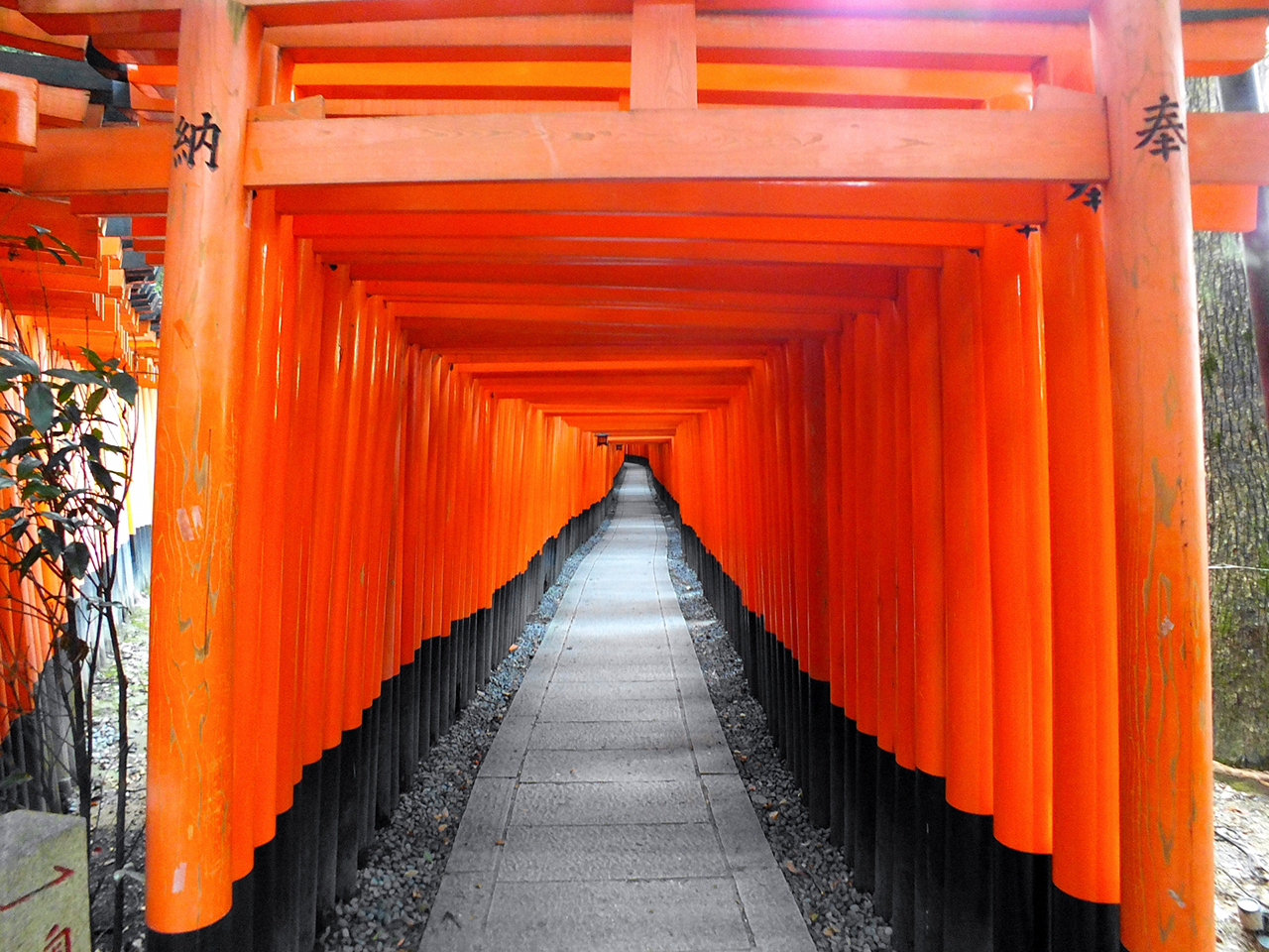 千本鳥居 入口