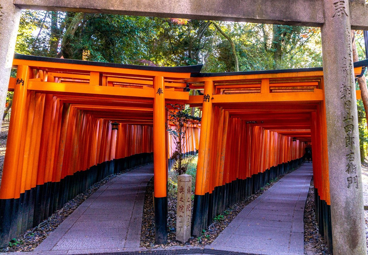 千本鳥居 二本の参道
