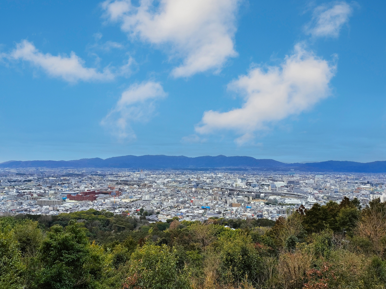 展望台から見える京都
