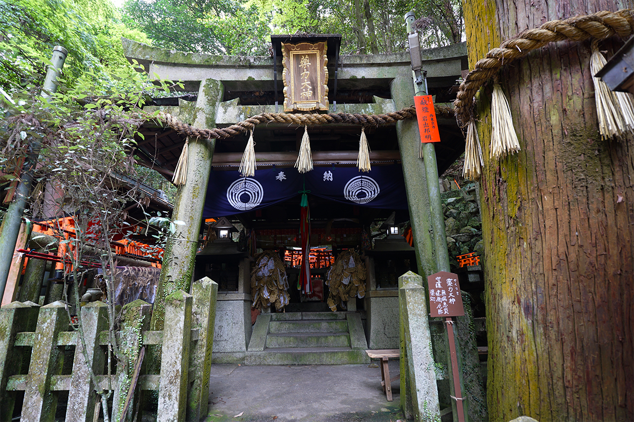 薬力社の鳥居と社殿