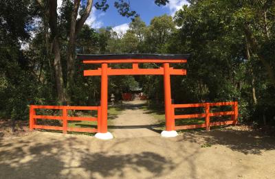 半木神社 鳥居