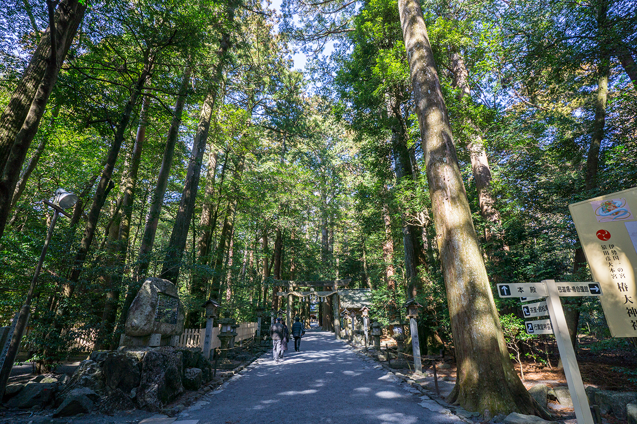 椿大神社 断り乃鳥居