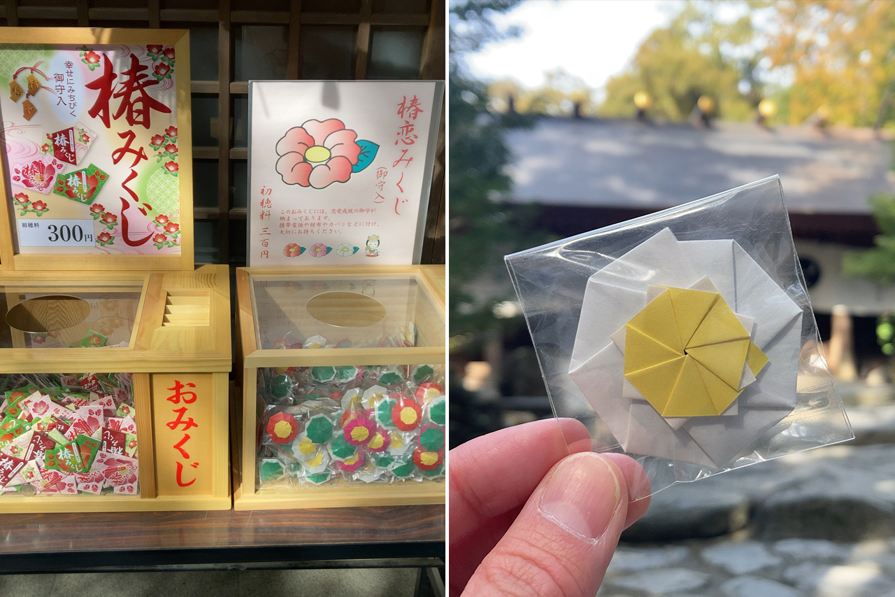 椿大神社 椿恋みくじ