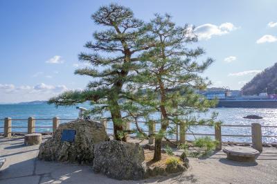 二見興玉神社 二見興玉神社 契りの松