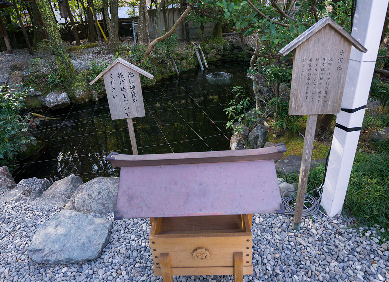 猿田彦神社 子宝池と賽銭箱