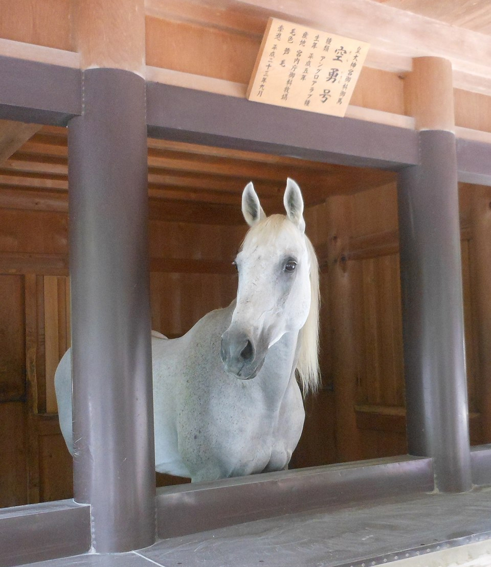 神馬