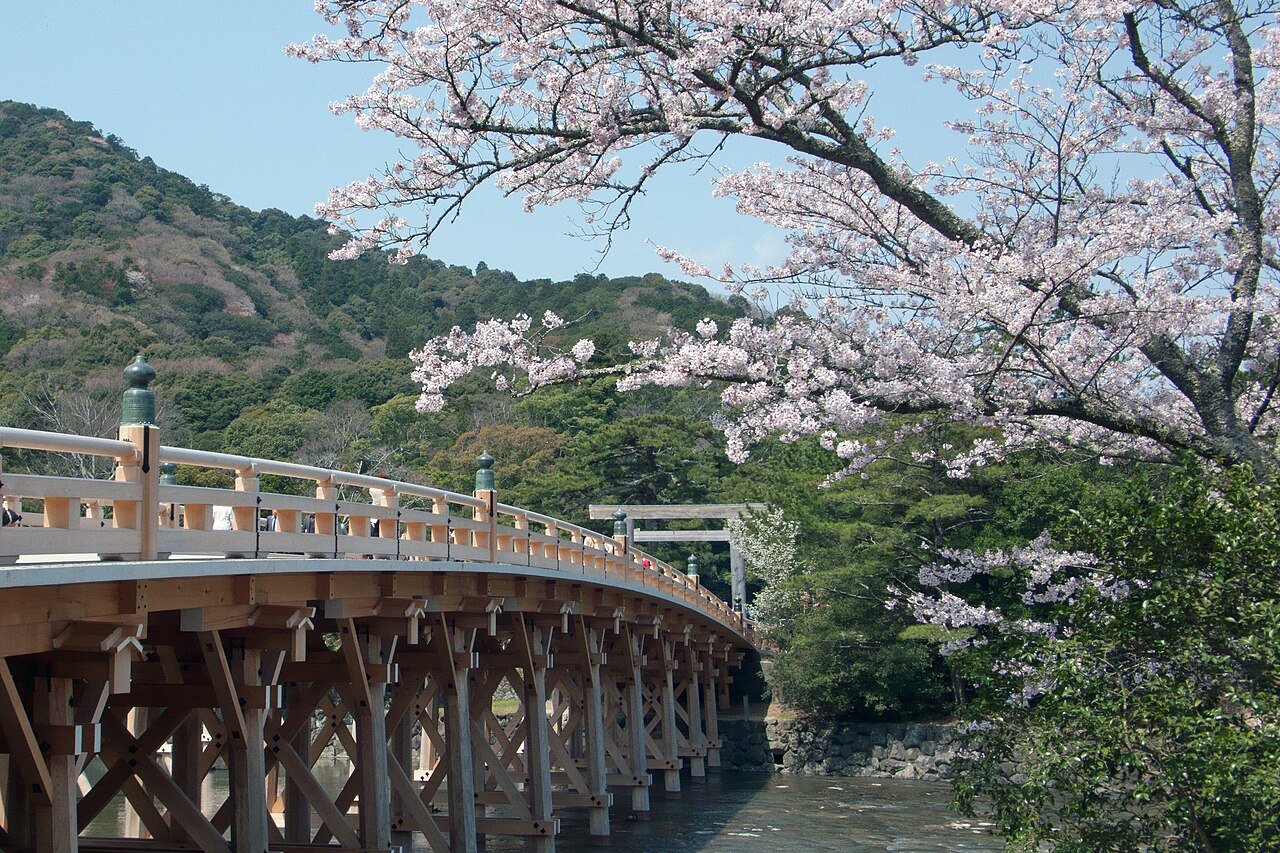 宇治橋と桜